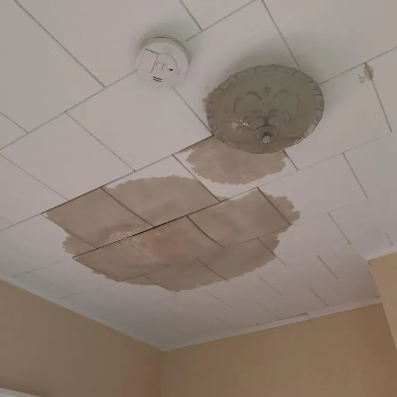 Ceiling Water Damage Repair in Wake Forest, NC