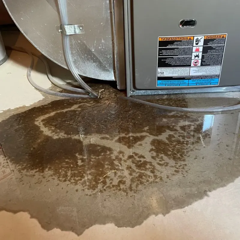 Pipe Burst and Leak Restoration in Wake Forest, NC
